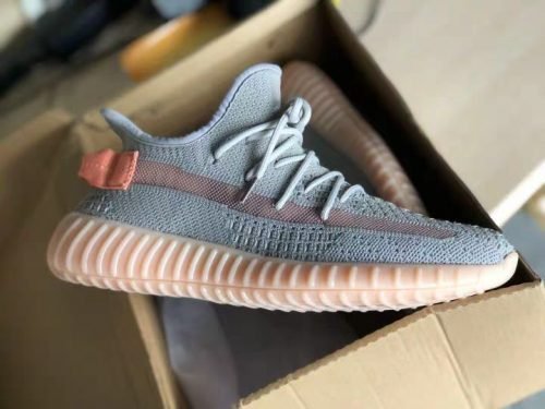 Yeezy  350 Boost V2 True Form photo review