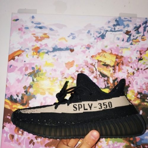 Yeezy Boost 350 V2 Oreo photo review