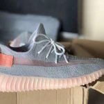 Yeezy  350 Boost V2 True Form photo review