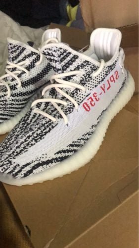 Yeezy Boost 350 V2 Zebra - 2018/2019 Release photo review
