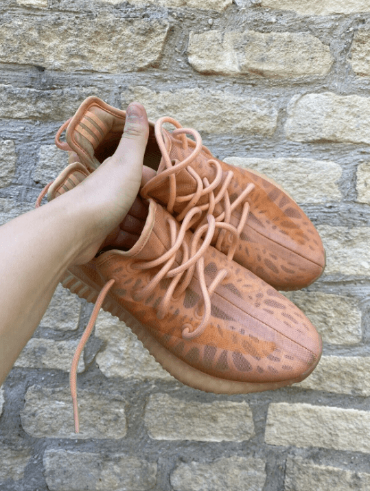 Yeezy Boost 350 V2 Mono Clay photo review