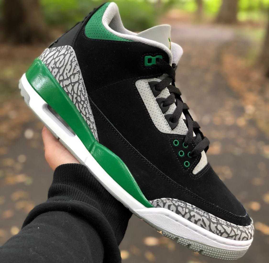 Air Jordan 3 Retro Pine Green photo review
