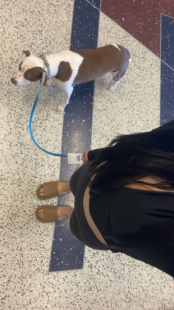 Yeezy Slides 'Ochre' photo review