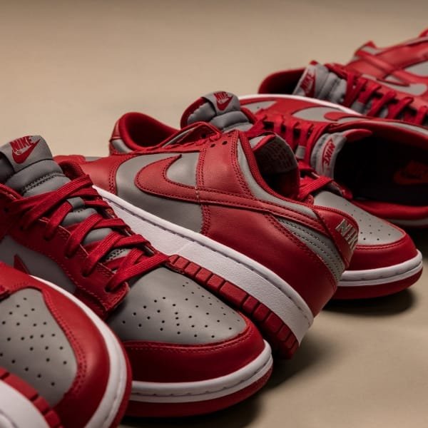 Nike Dunk Low Retro onfeet (3)